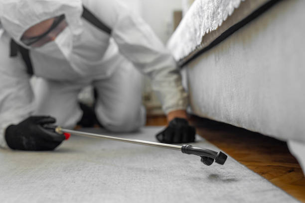 Professional Bed Bug Control technician working in Currituck County County, NC